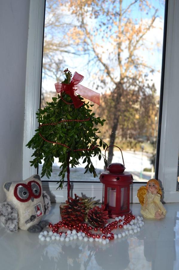 Apartament Квартира Двохкімнатна Фонтан Kamieniec Podolski Zewnętrze zdjęcie